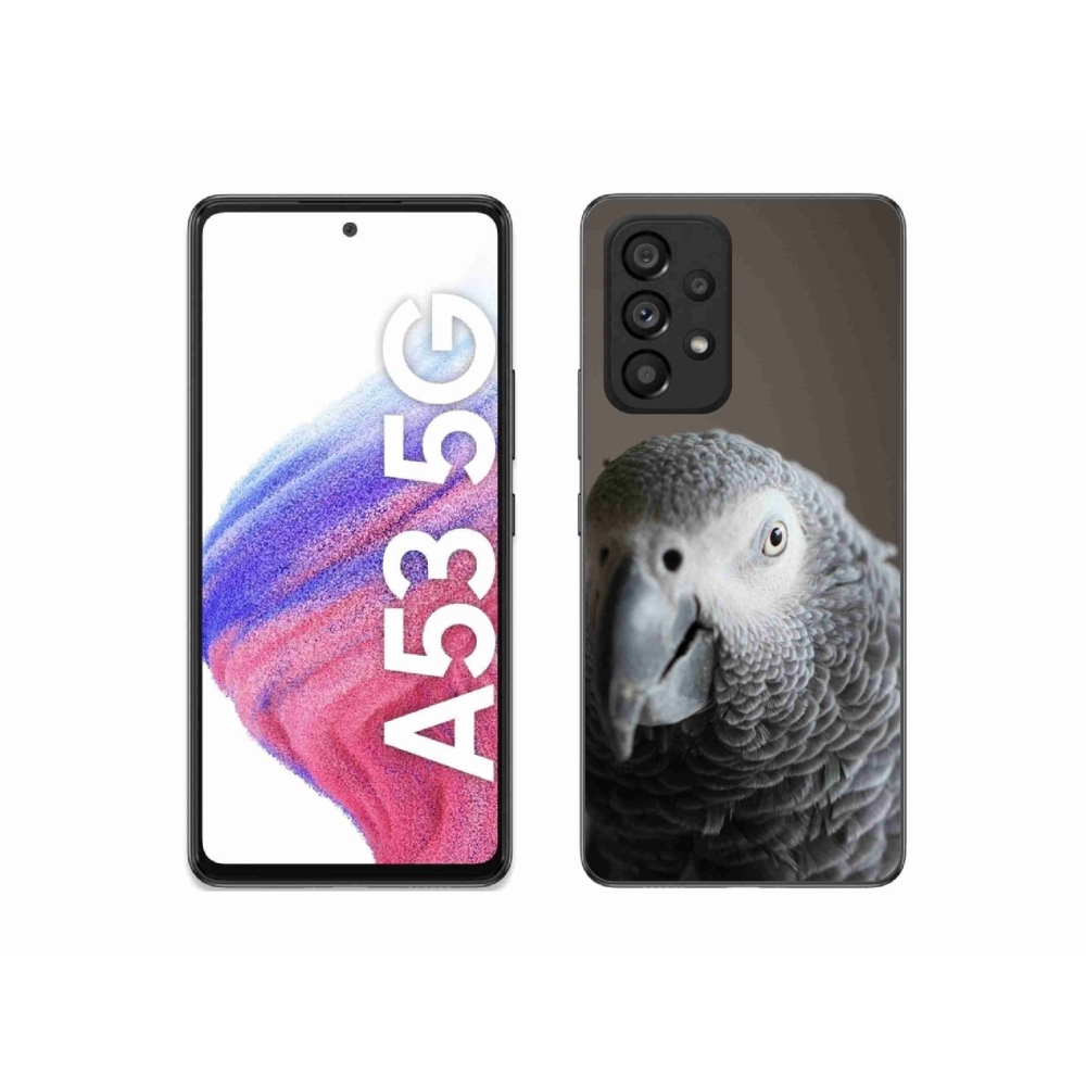 Gélový kryt mmCase na Samsung Galaxy A53 - papagáj žako 2