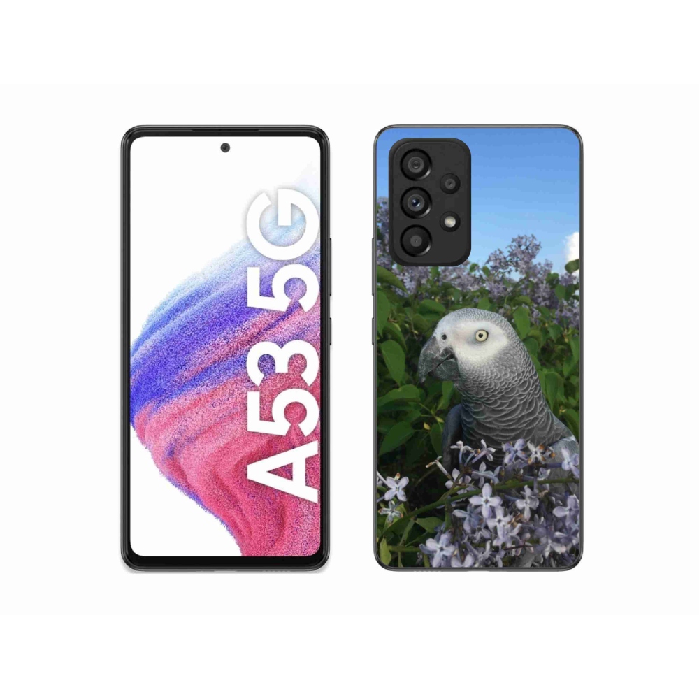 Gélový kryt mmCase na Samsung Galaxy A53 - papagáj žako