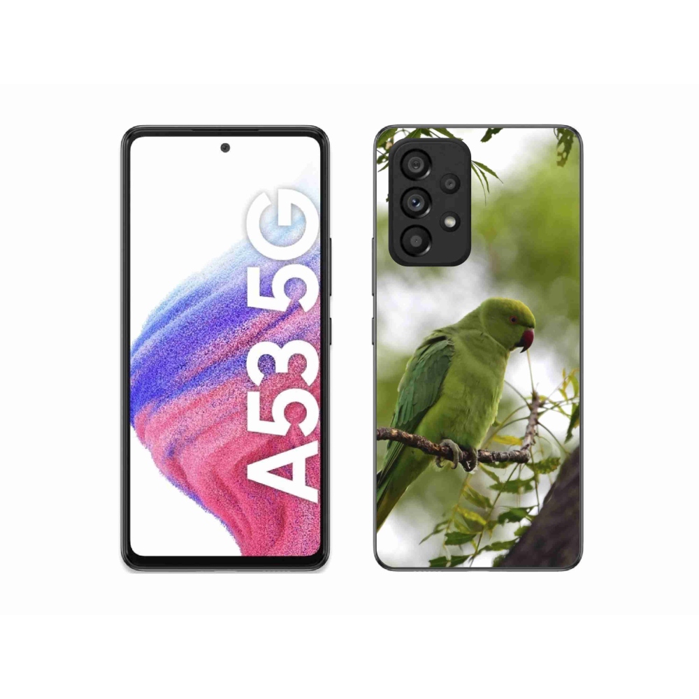 Gélový kryt mmCase na Samsung Galaxy A53 - zelený papagáj
