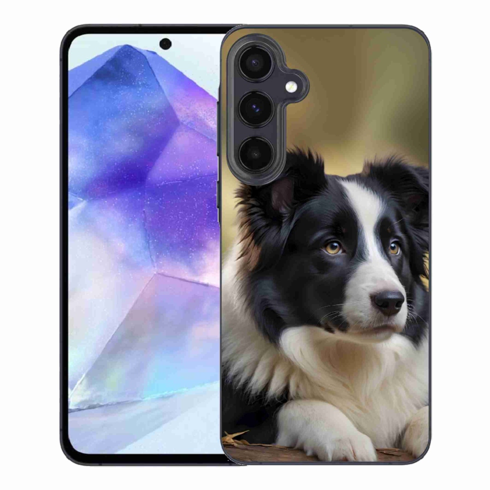 Gélový kryt mmCase na Samsung Galaxy A55 5G - border kólia 2