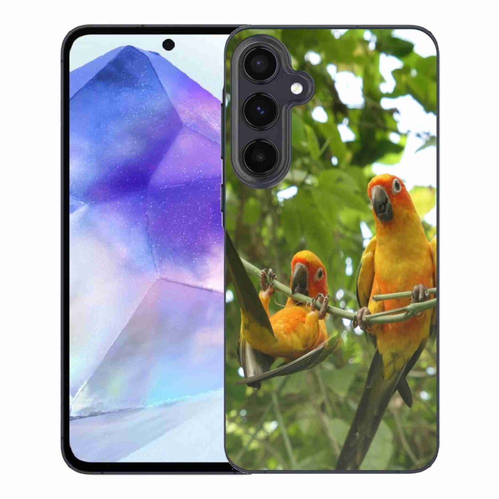 Gélový kryt mmCase na Samsung Galaxy A55 5G - papagáje aratingy