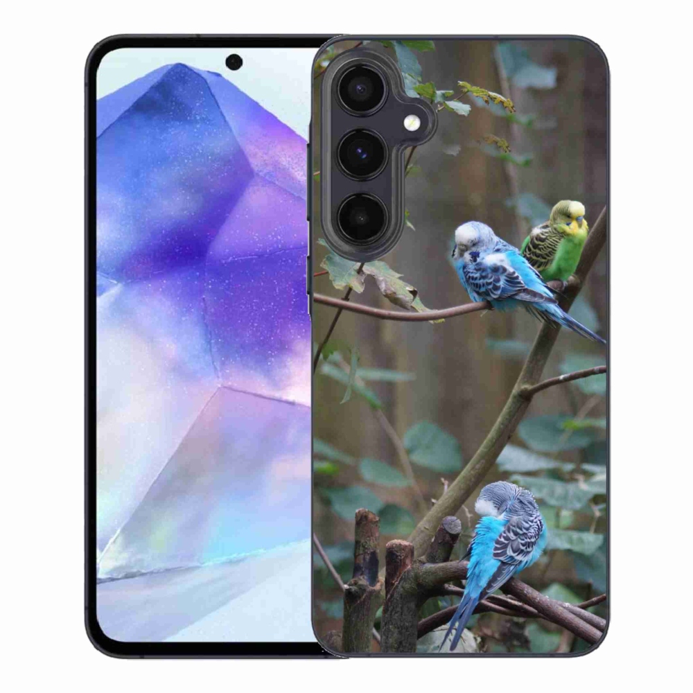 Gélový kryt mmCase na Samsung Galaxy A55 5G - papagáje na vetve