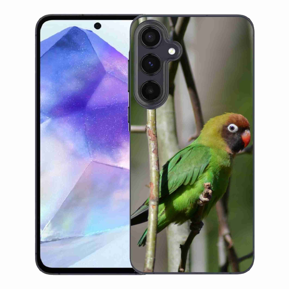 Gélový kryt mmCase na Samsung Galaxy A55 5G - papagáj agapornis