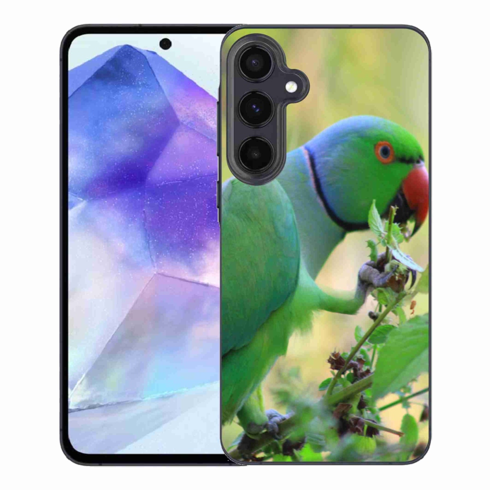 Gélový kryt mmCase na Samsung Galaxy A55 5G - papagáj Alexandr