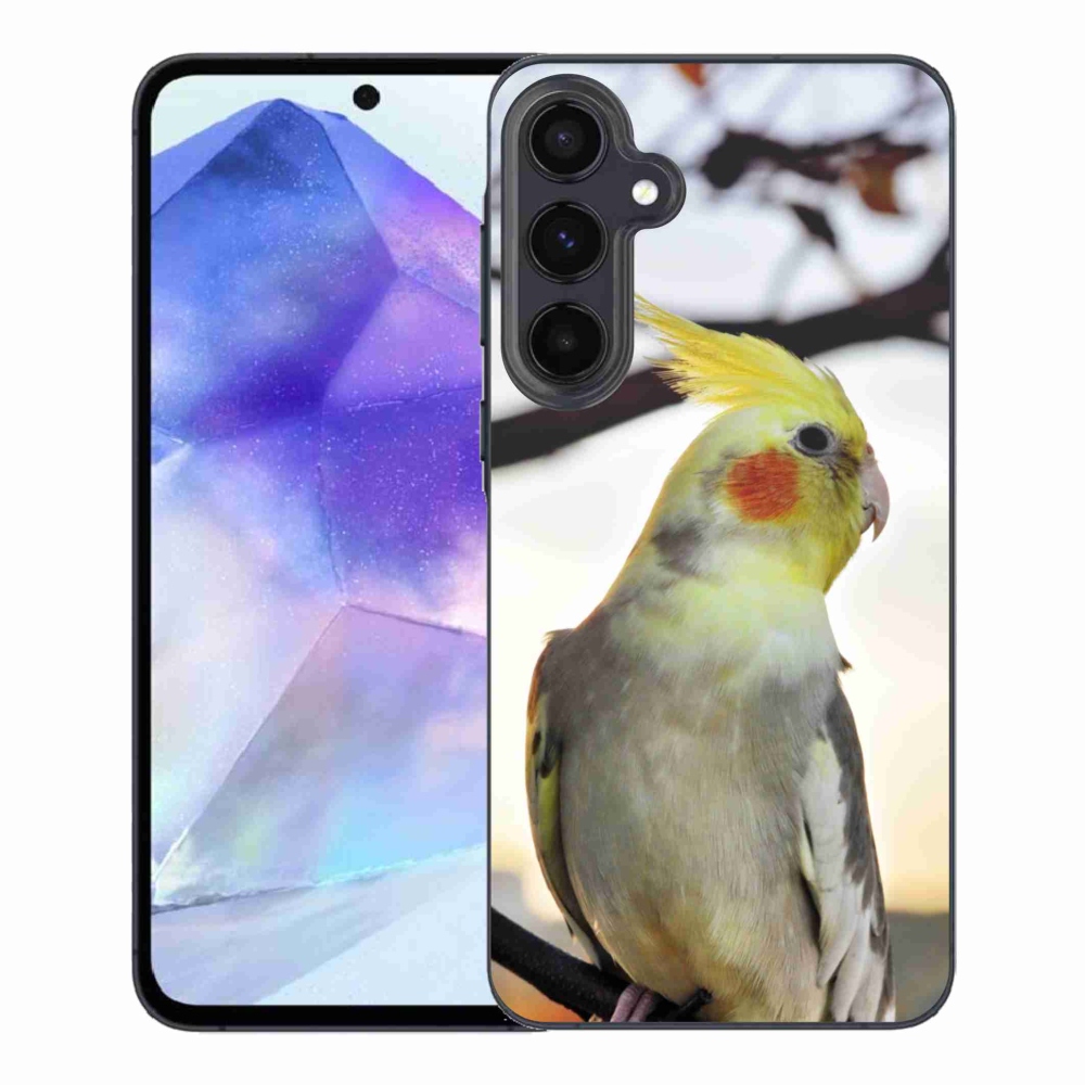 Gélový kryt mmCase na Samsung Galaxy A55 5G - papagáj korela