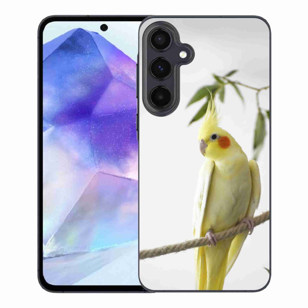 Gélový kryt mmCase na Samsung Galaxy A55 5G - papagáj korela chocholatá