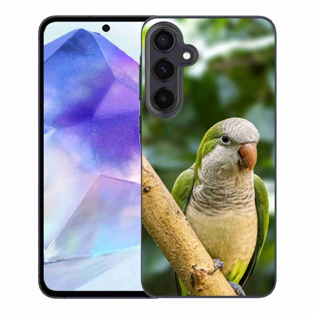 Gélový kryt mmCase na Samsung Galaxy A55 5G - papagáj mníšek