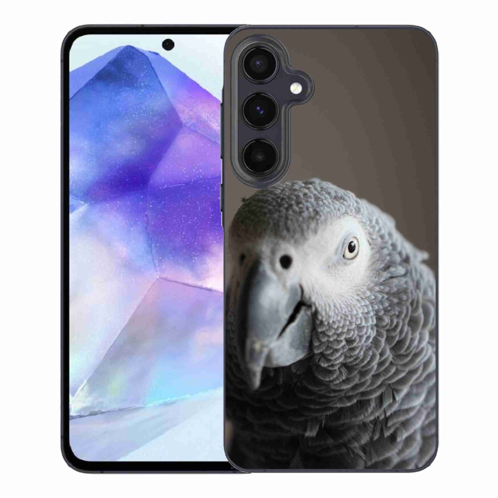 Gélový kryt mmCase na Samsung Galaxy A55 5G - papagáj žako 2