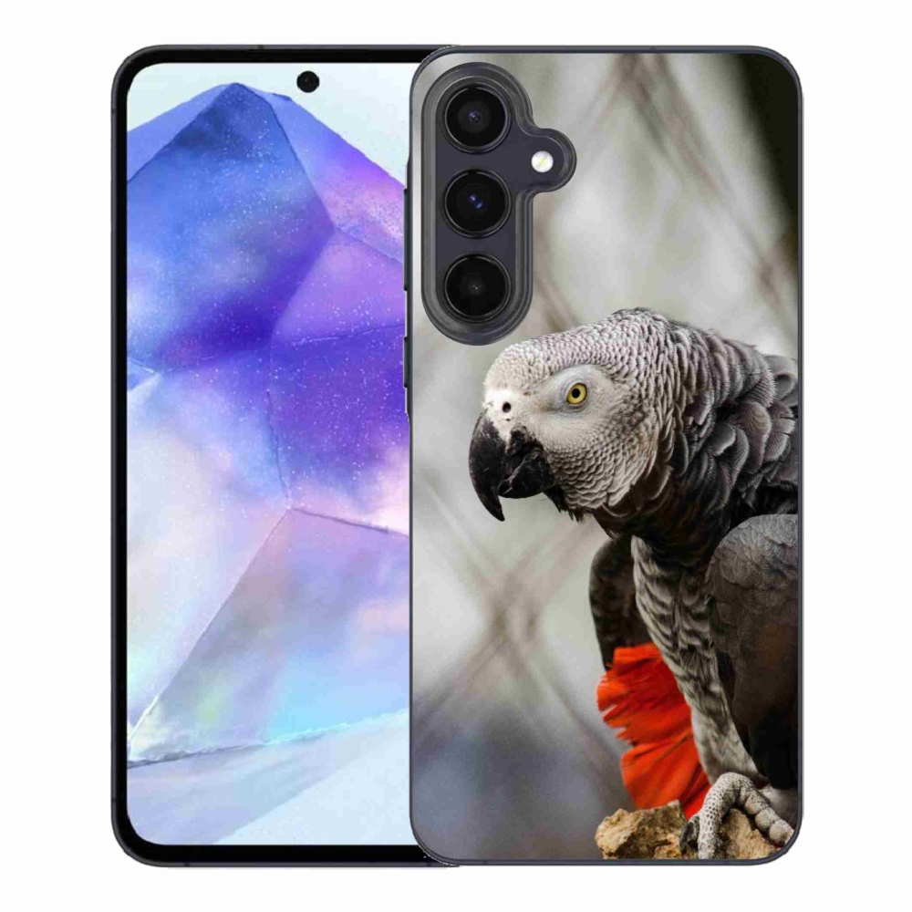 Gélový kryt mmCase na Samsung Galaxy A55 5G - papagáj žako 3