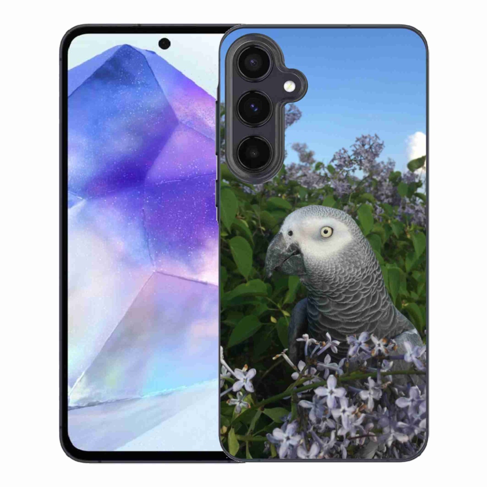 Gélový kryt mmCase na Samsung Galaxy A55 5G - papagáj žako