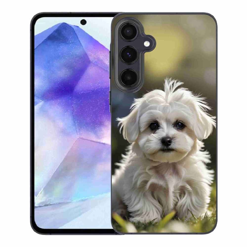 Gélový kryt mmCase na Samsung Galaxy A55 5G - roztomilý maltézsky psík