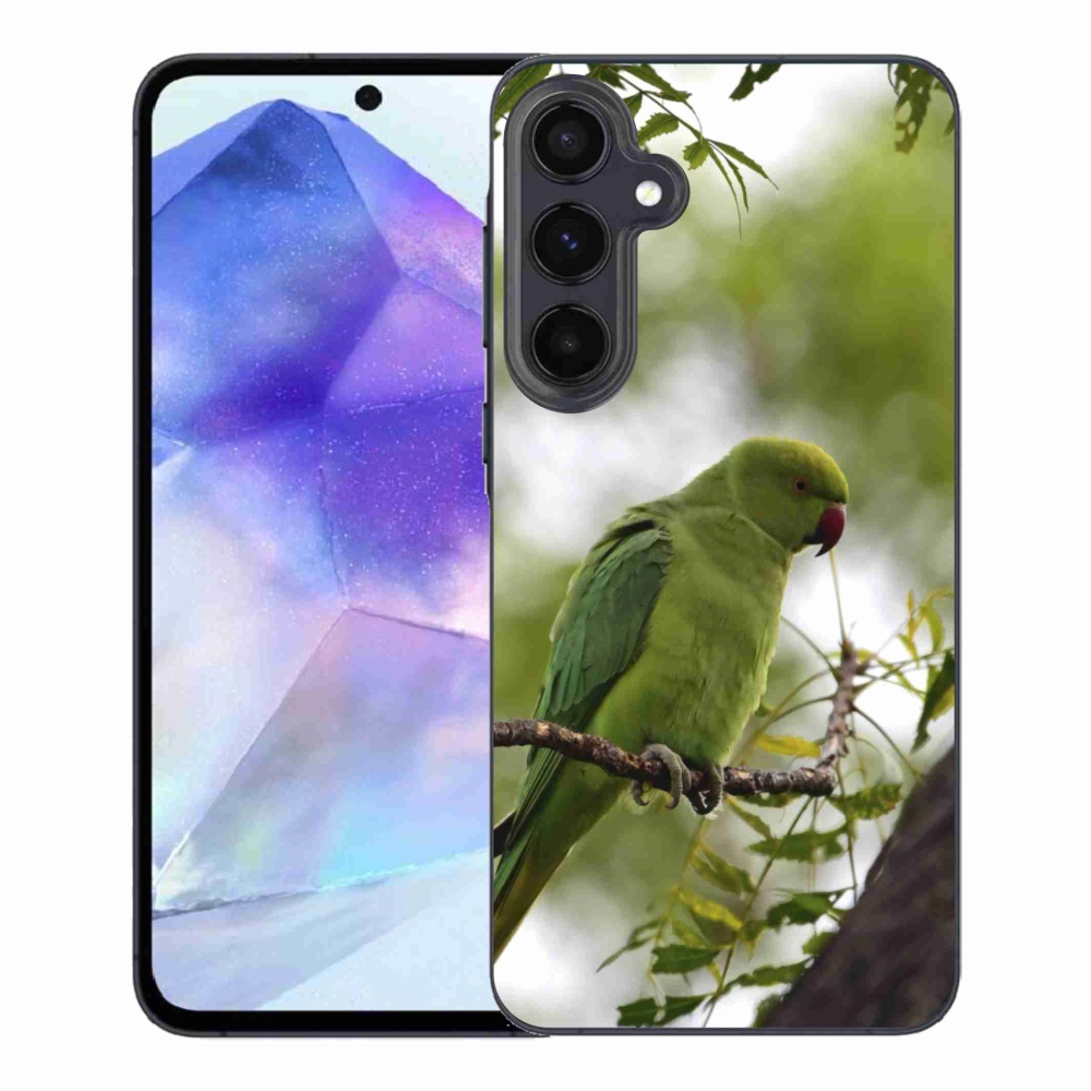 Gélový kryt mmCase na Samsung Galaxy A55 5G - zelený papagáj