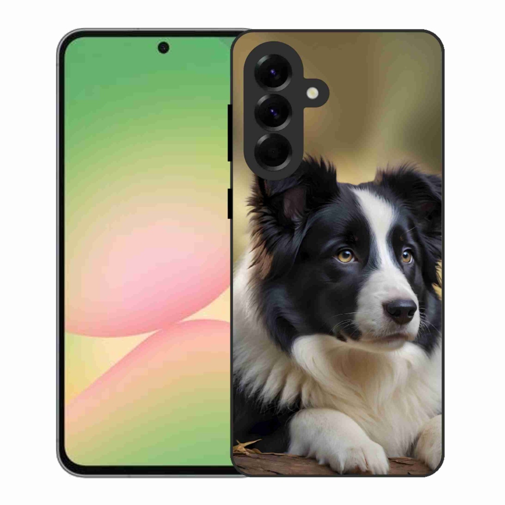 Gélový kryt mmCase na Samsung Galaxy A56 5G - border kólia 2