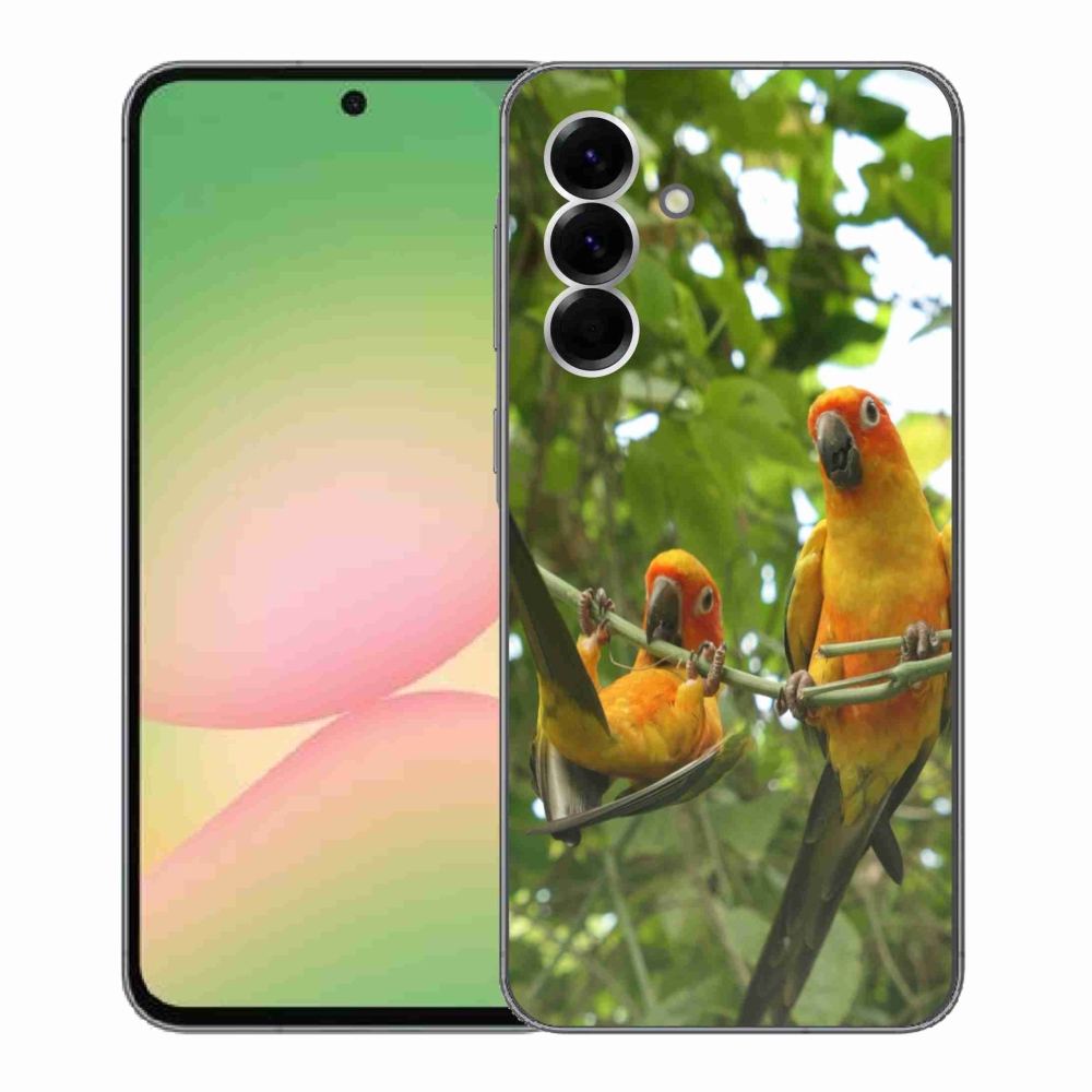 Gélový kryt mmCase na Samsung Galaxy A56 5G - papagáje aratingy