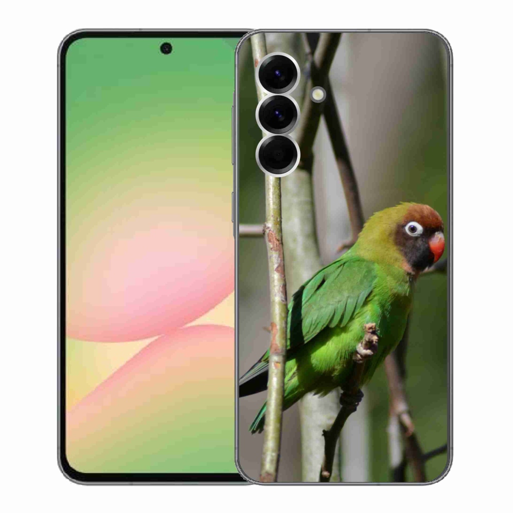 Gélový kryt mmCase na Samsung Galaxy A56 5G - papagáj agapornis