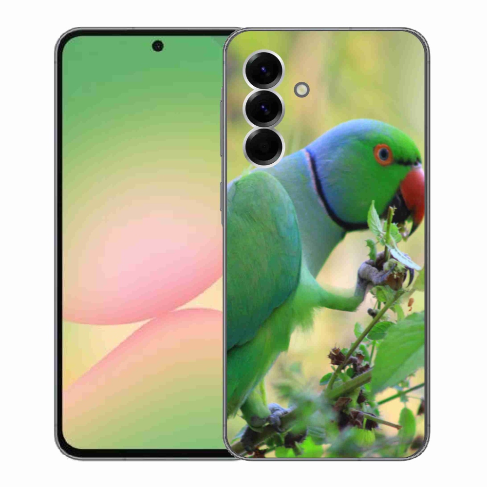 Gélový kryt mmCase na Samsung Galaxy A56 5G - papagáj Alexandr