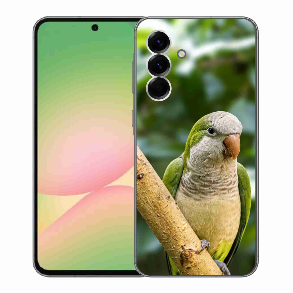 Gélový kryt mmCase na Samsung Galaxy A56 5G - papagáj mníšok