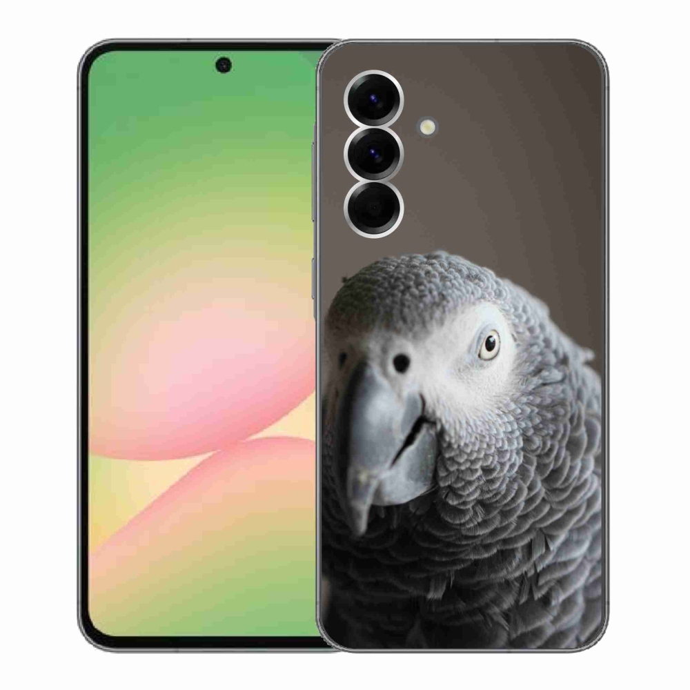 Gélový kryt mmCase na Samsung Galaxy A56 5G - papagáj žako 2