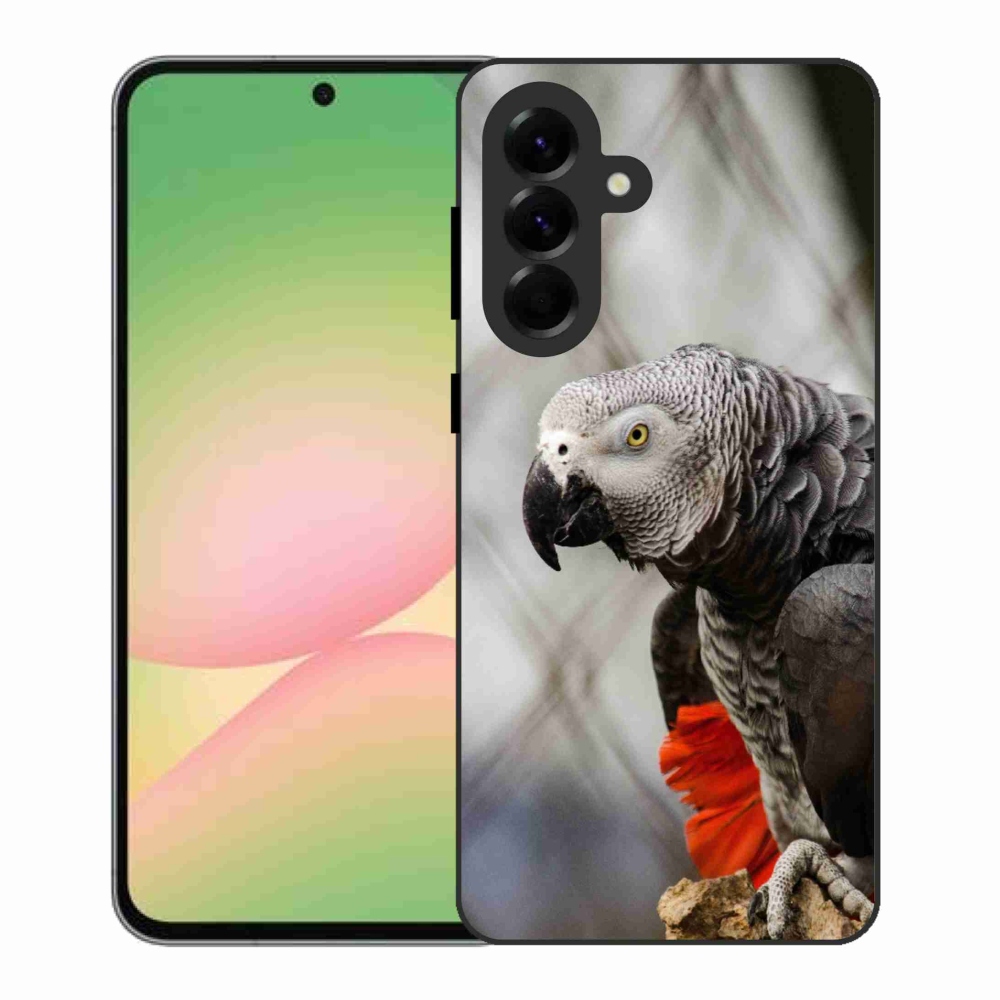 Gélový kryt mmCase na Samsung Galaxy A56 5G - papagáj žako 3
