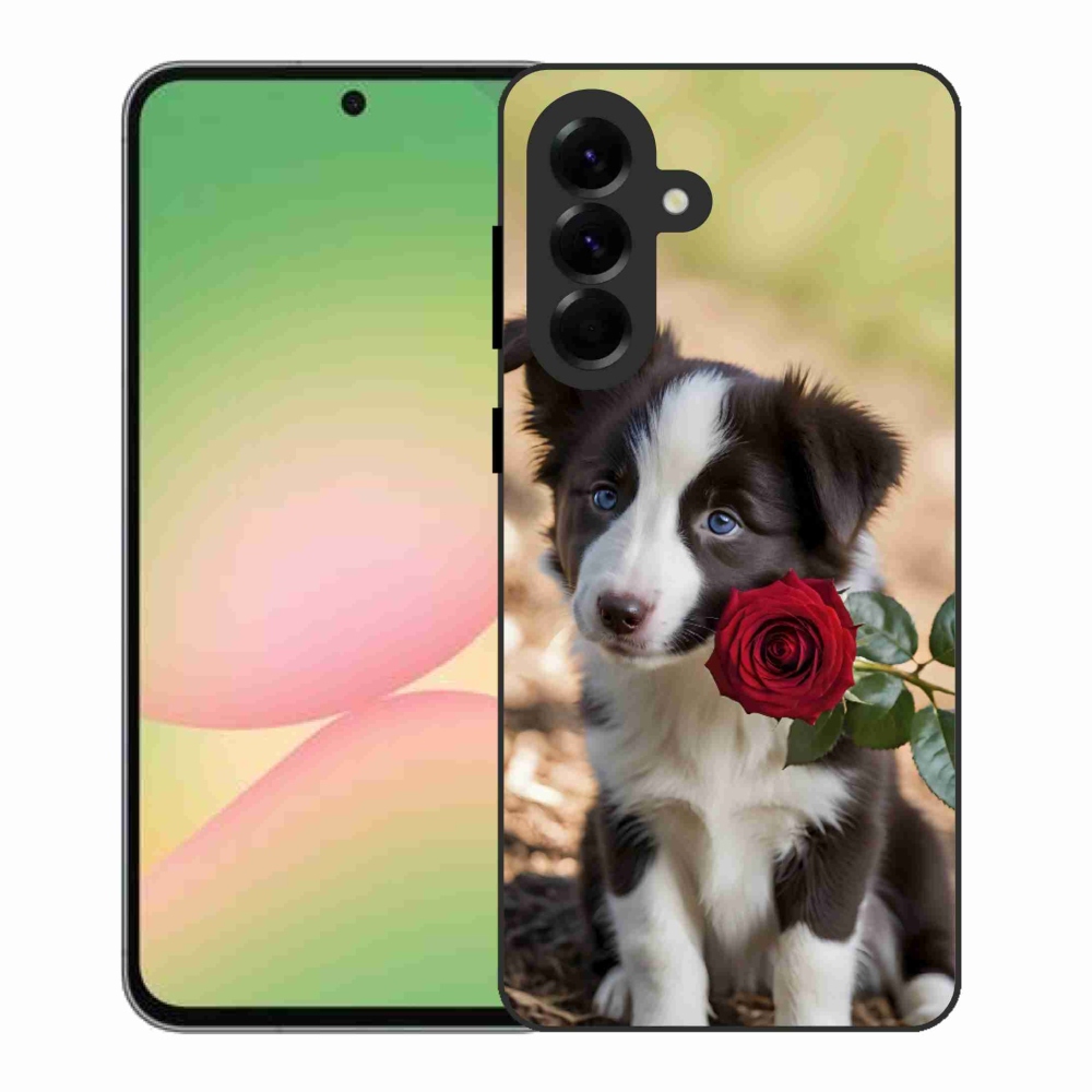 Gélový kryt mmCase na Samsung Galaxy A56 5G - roztomilá border kólia s ružou