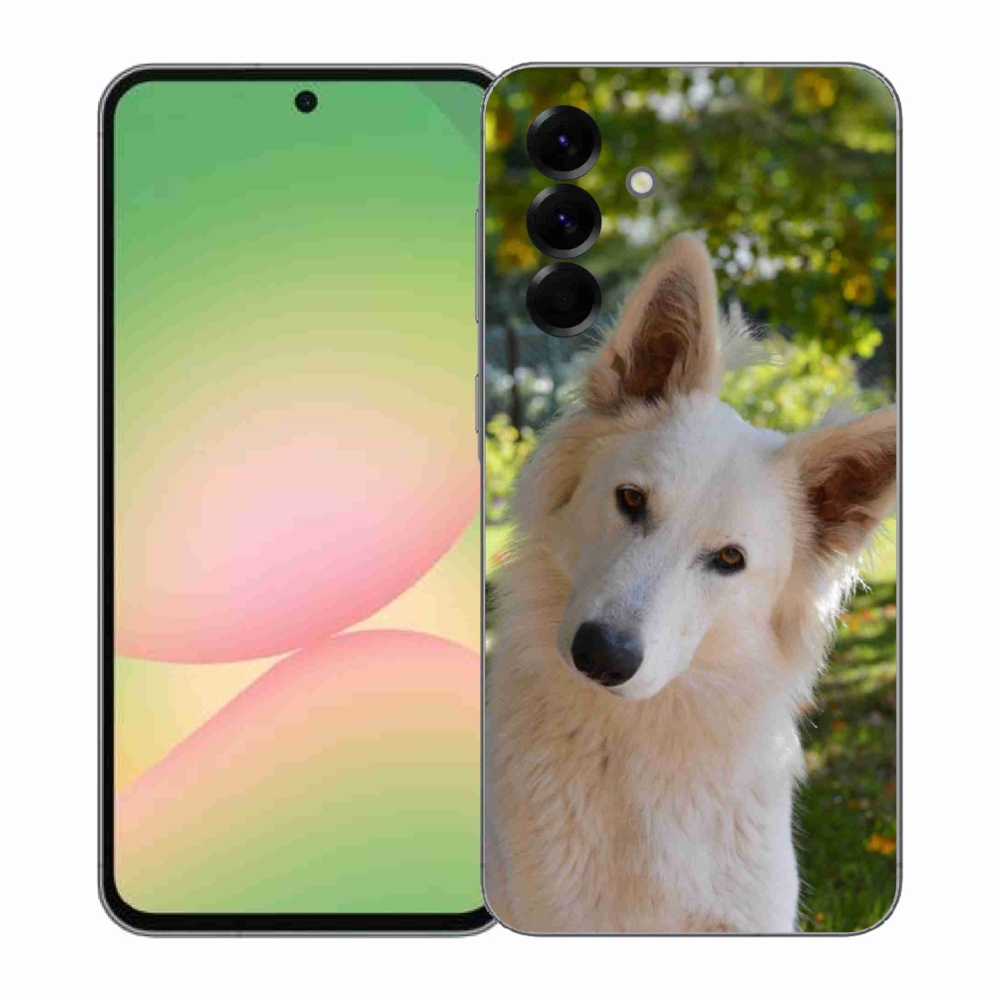 Gélový kryt mmCase na Samsung Galaxy A57 5G - biely švajčiarsky ovčiak 1