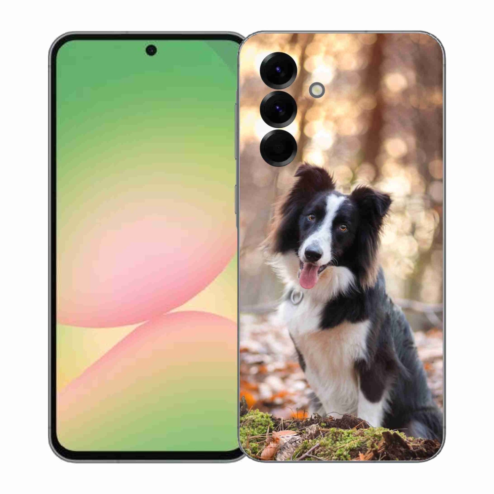 Gélový kryt mmCase na Samsung Galaxy A57 5G - border kólia 1