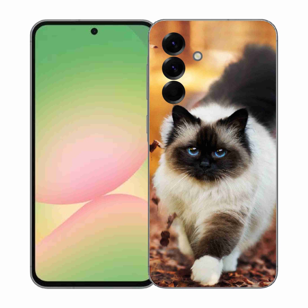 Gélový kryt mmCase na Samsung Galaxy A57 5G - mačka