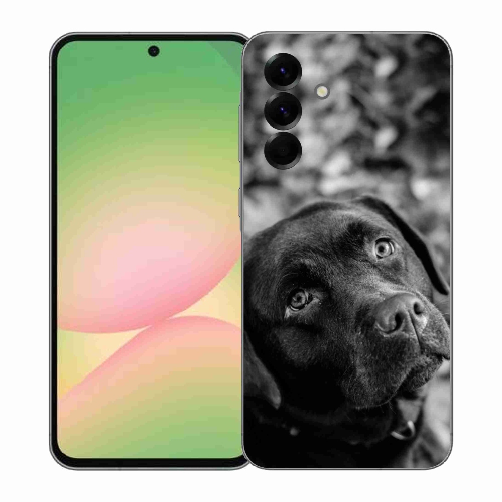 Gélový kryt mmCase na Samsung Galaxy A57 5G - labrador