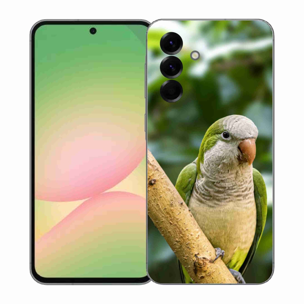 Gélový kryt mmCase na Samsung Galaxy A57 5G - papagáj mníšok