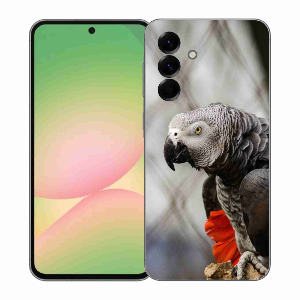 Gélový kryt mmCase na Samsung Galaxy A57 5G - papagáj žako 3