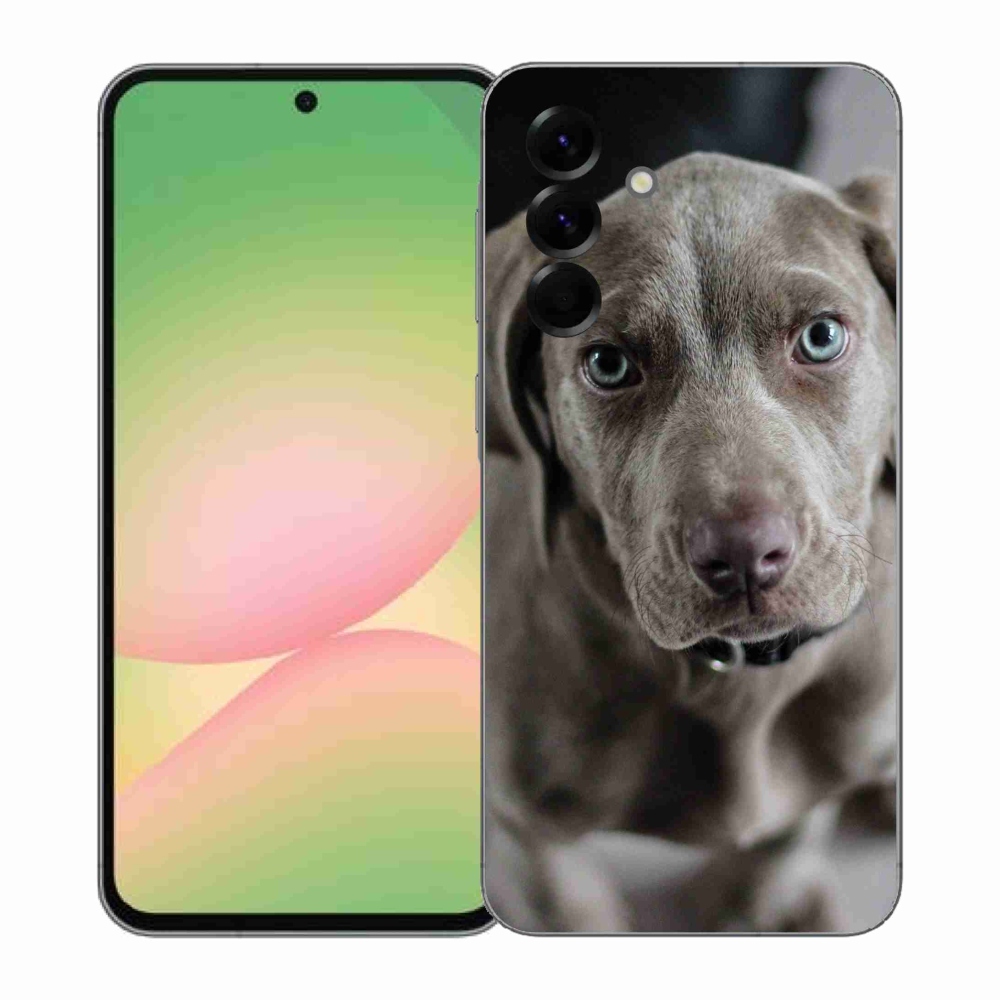 Gélový kryt mmCase na Samsung Galaxy A57 5G - weimarský stavač