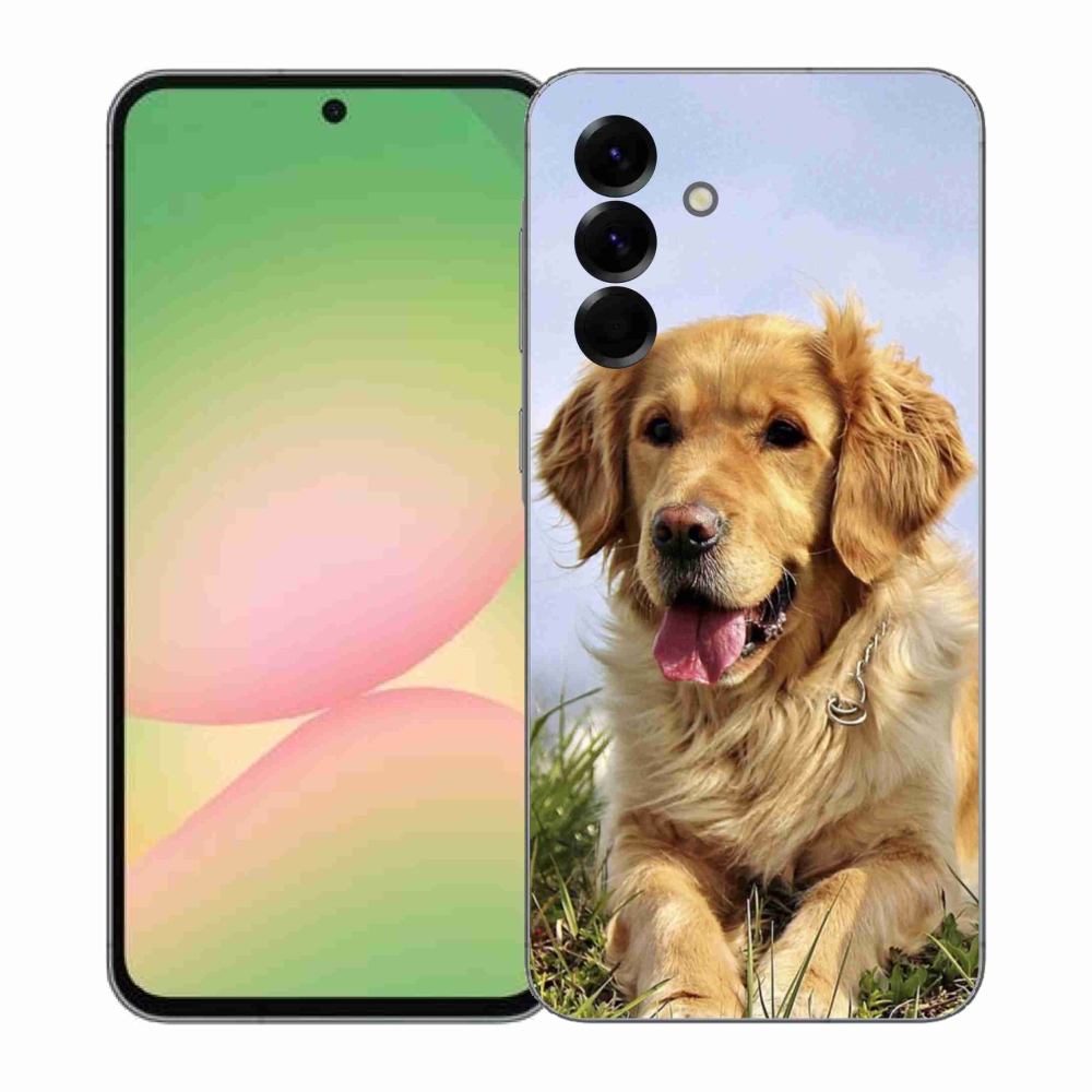 Gélový kryt mmCase na Samsung Galaxy A57 5G - zlatý retriever