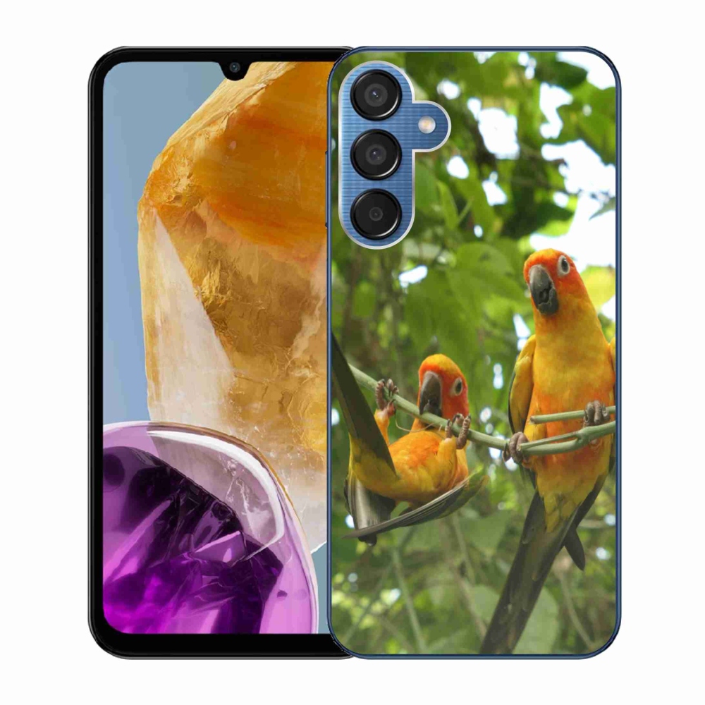 Gélový kryt mmCase na Samsung Galaxy M15 5G - papagáje aratingy
