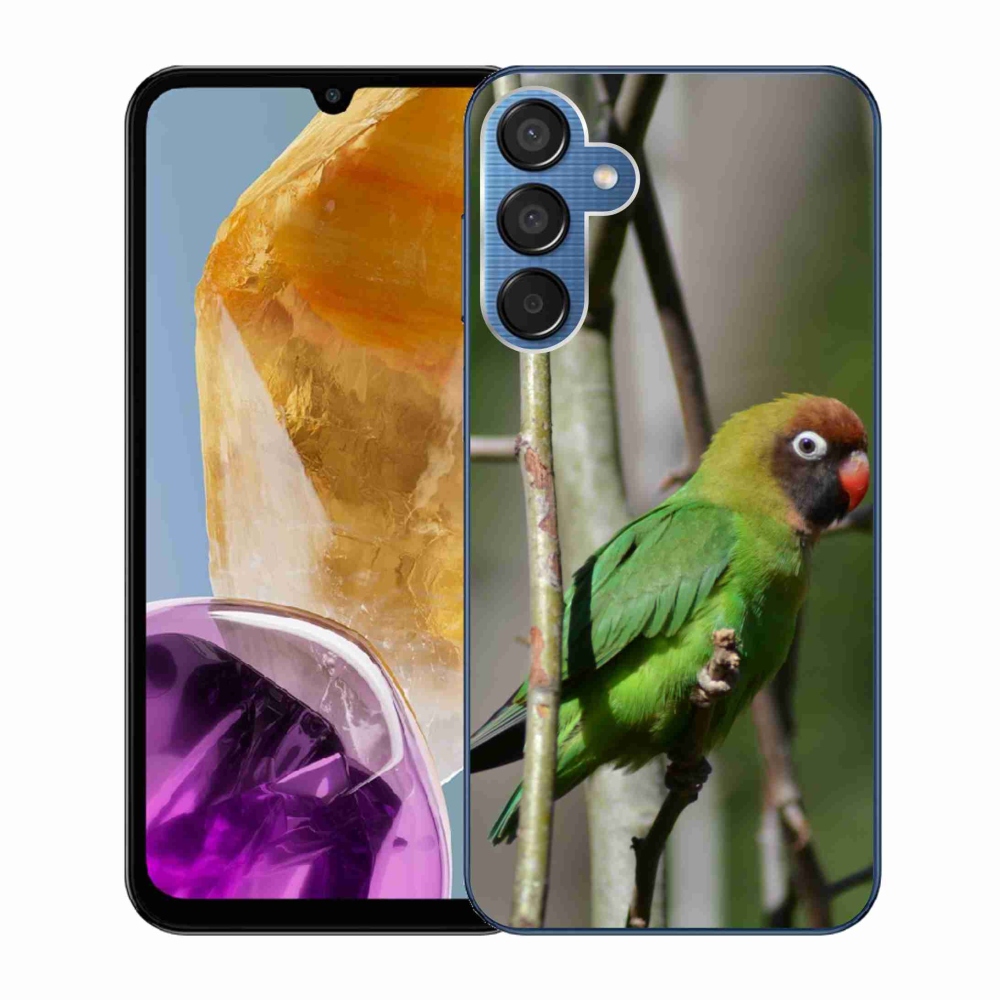 Gélový kryt mmCase na Samsung Galaxy M15 5G - papagáj agapornis