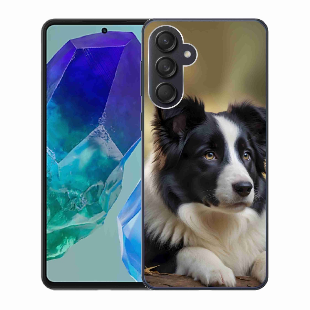 Gélový kryt mmCase na Samsung Galaxy M55 5G - border kólia 2