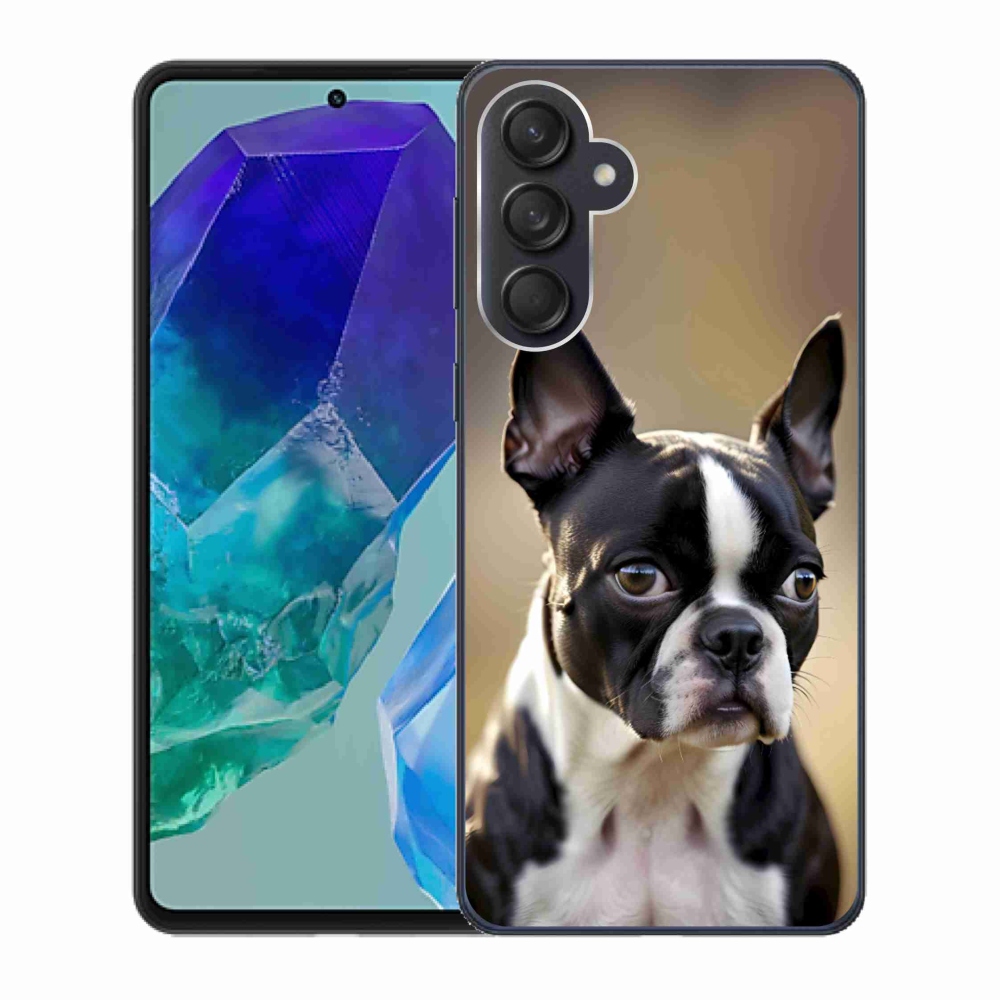 Gélový kryt mmCase na Samsung Galaxy M55 5G - bostonský teriér