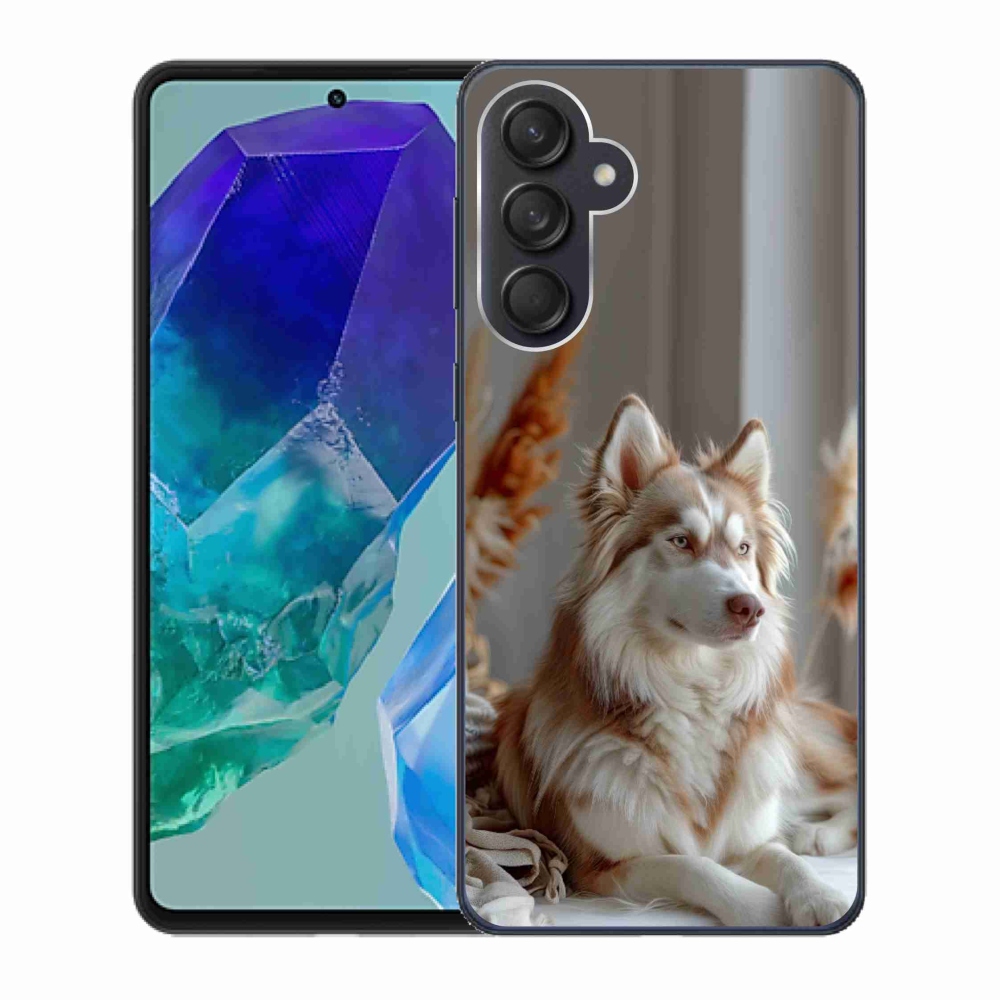 Gélový kryt mmCase na Samsung Galaxy M55 5G - pokojný sibírsky husky