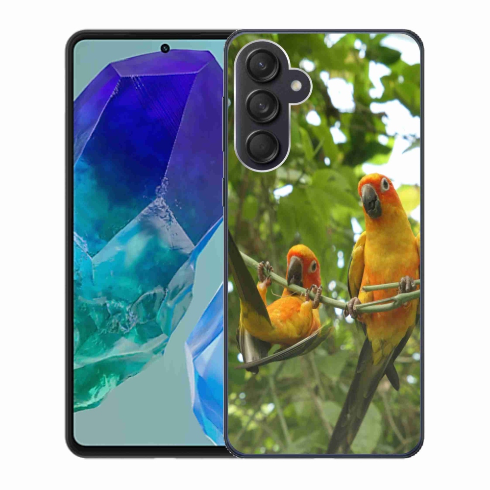 Gélový kryt mmCase na Samsung Galaxy M55 5G - papagáje aratingy