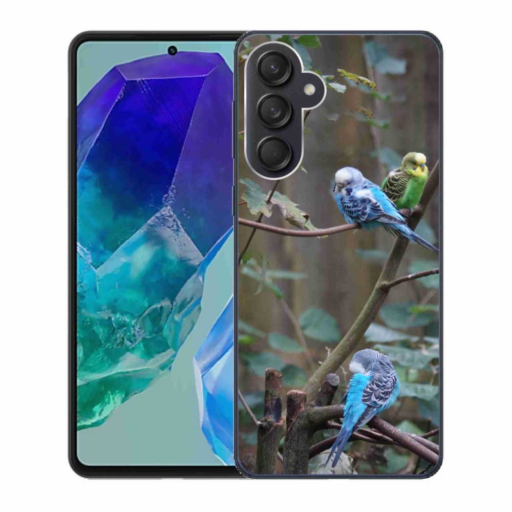Gélový kryt mmCase na Samsung Galaxy M55 5G - papagáje na vetve