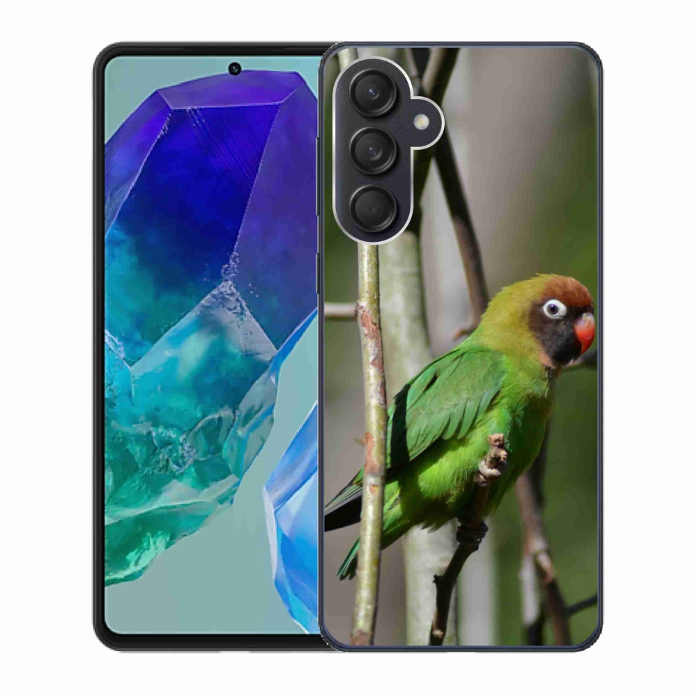 Gélový kryt mmCase na Samsung Galaxy M55 5G - papagáj agapornis