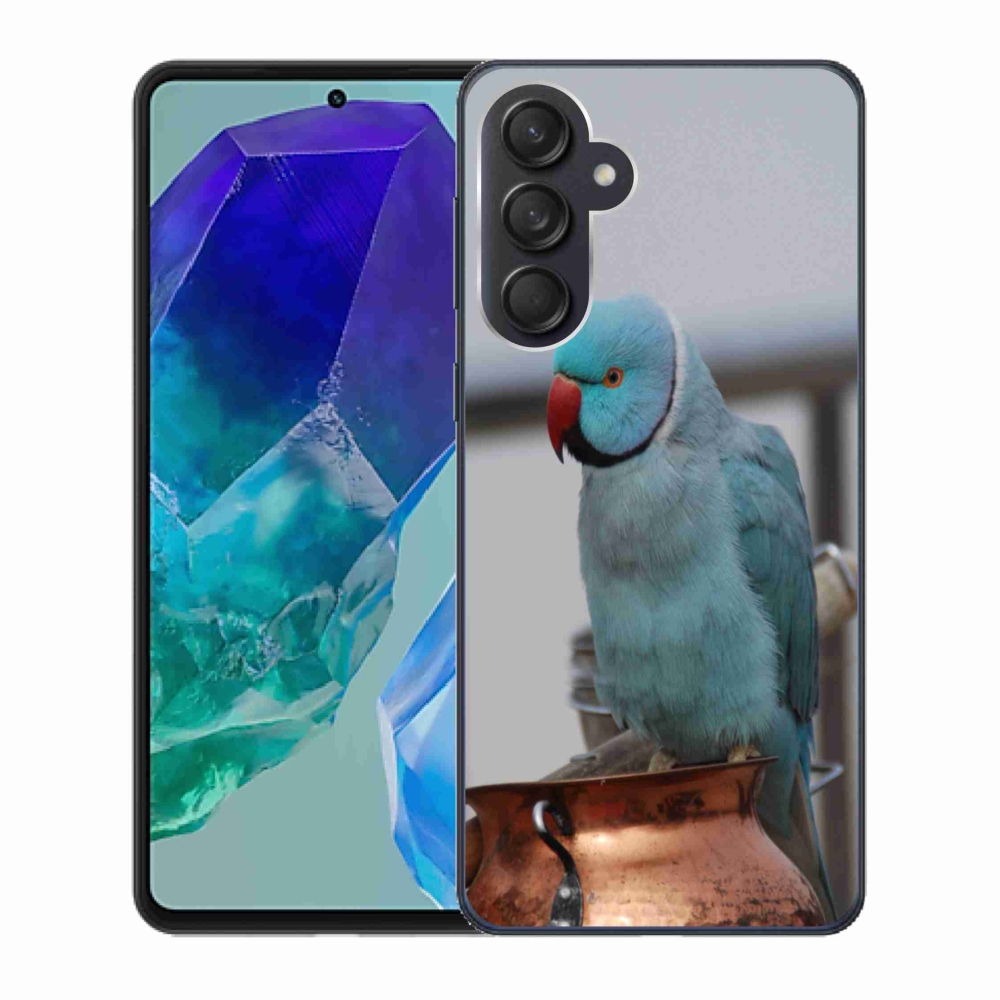 Gélový kryt mmCase na Samsung Galaxy M55 5G - papagáj alexander modrý