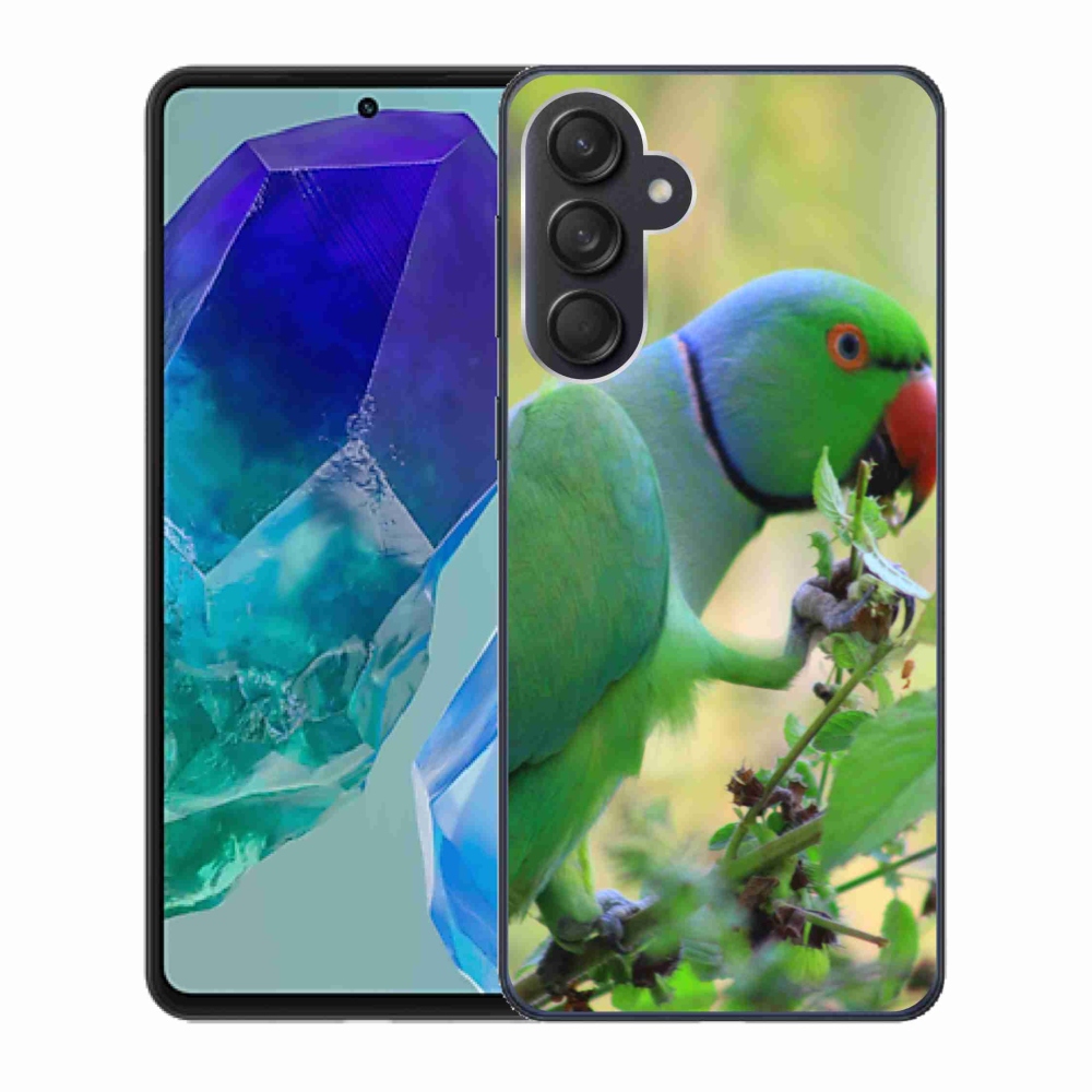 Gélový kryt mmCase na Samsung Galaxy M55 5G - papagáj Alexandr