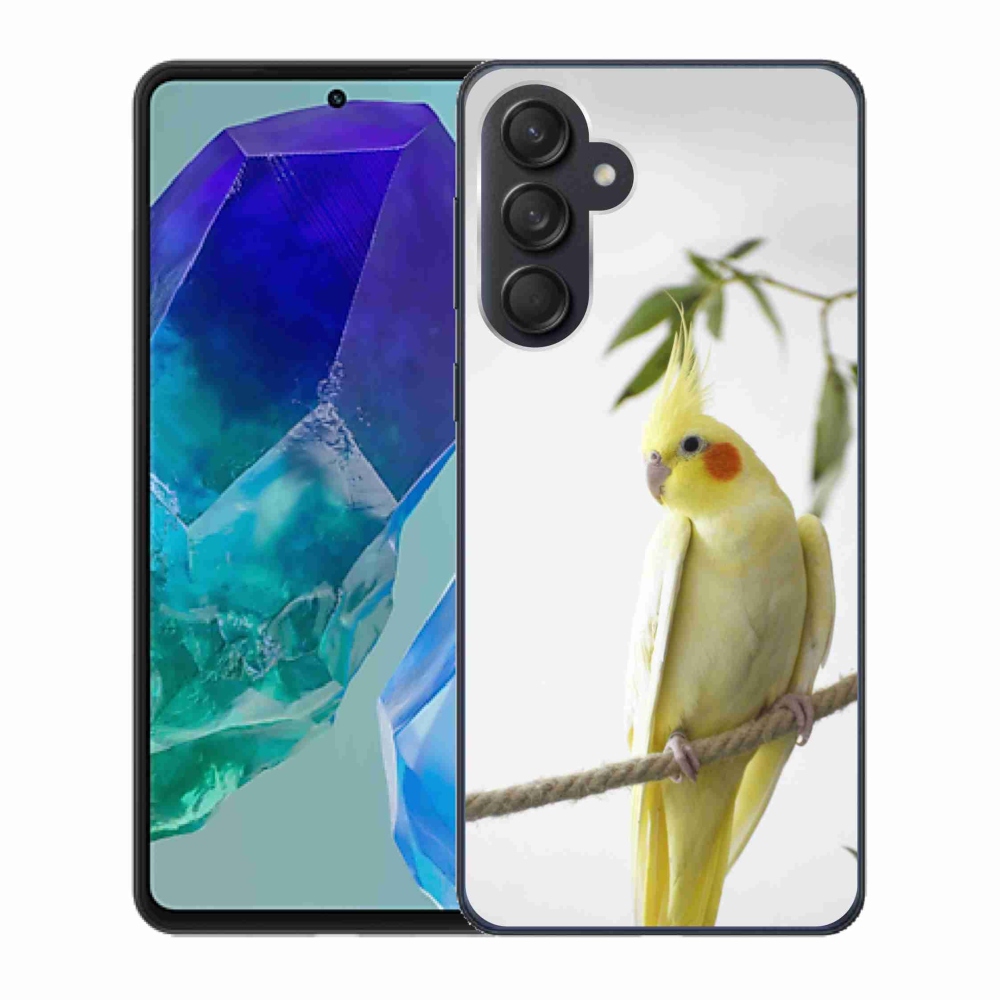 Gélový kryt mmCase na Samsung Galaxy M55 5G - papagáj korela chocholatá