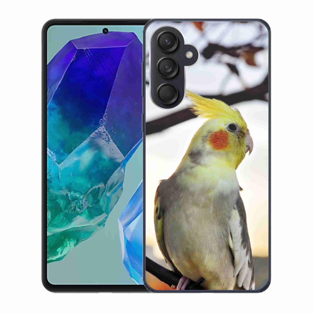 Gélový kryt mmCase na Samsung Galaxy M55 5G - papagáj korela