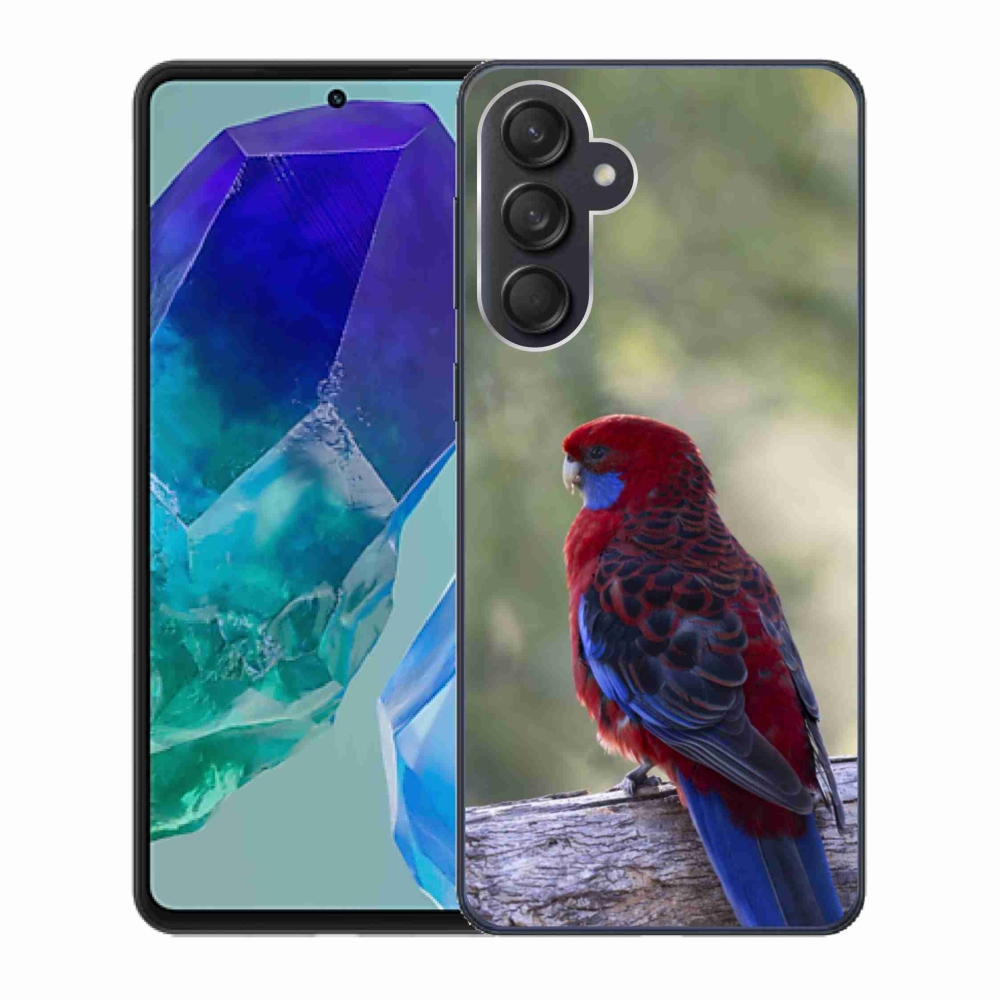 Gélový kryt mmCase na Samsung Galaxy M55 5G - papagáj rosela