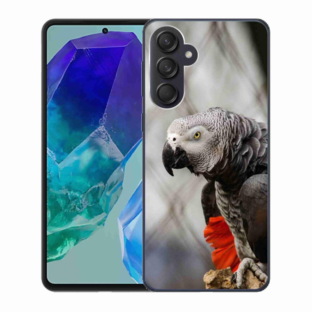 Gélový kryt mmCase na Samsung Galaxy M55 5G - papagáj žako 3