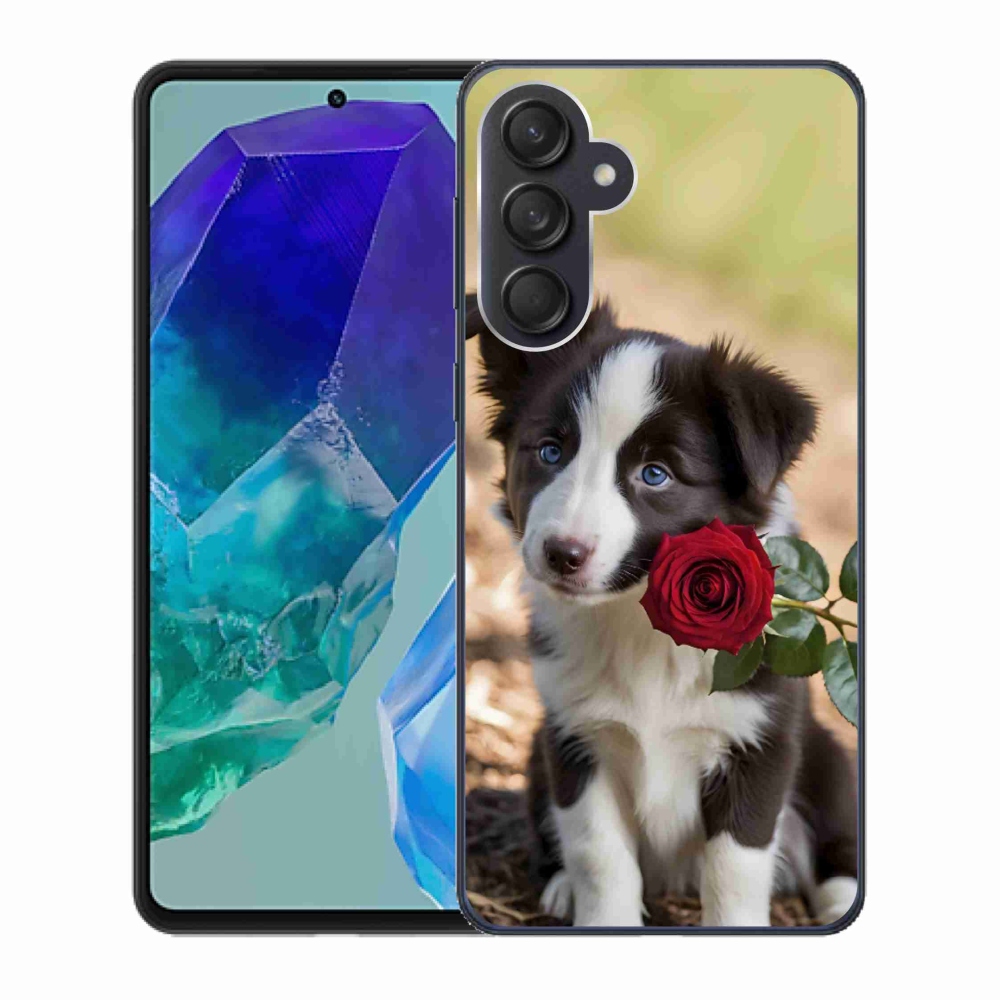 Gélový kryt mmCase na Samsung Galaxy M55 5G - roztomilá border kólia s ružou