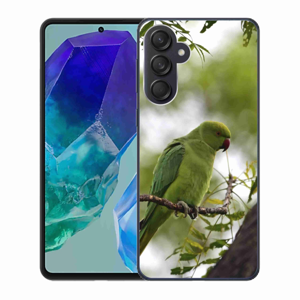 Gélový kryt mmCase na Samsung Galaxy M55 5G - zelený papagáj