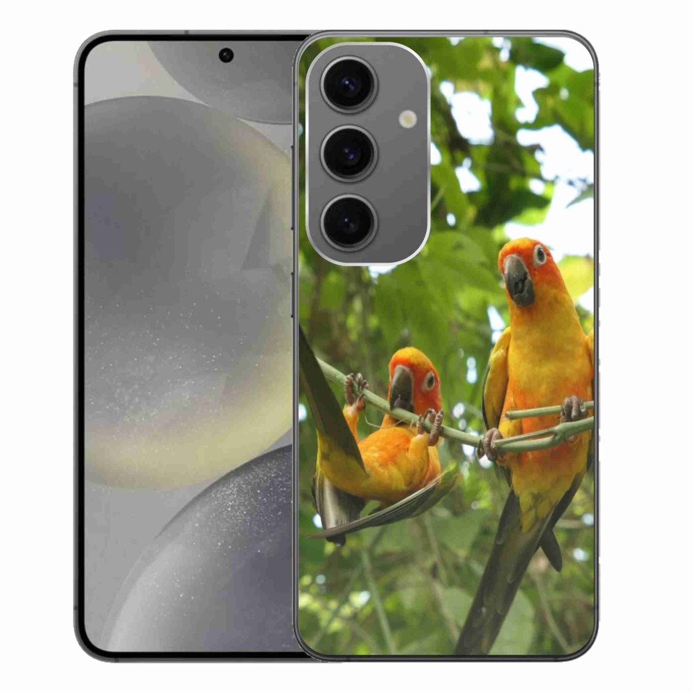 Gélový kryt mmCase na Samsung Galaxy S24+ - papagáje aratingy