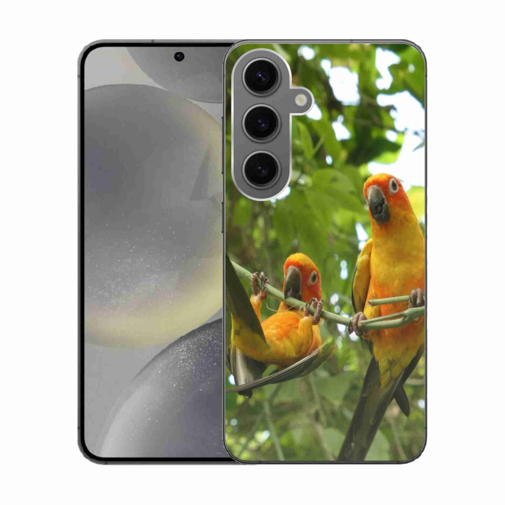 Gélový kryt mmCase na Samsung Galaxy S24 - papagáje aratingy